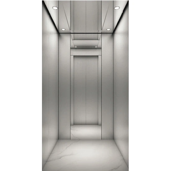 Luxury Affordable Home Lifts